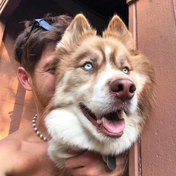 Meet your Posher, Grant - Picture 1 of 1